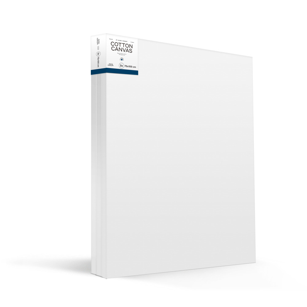 Cotton stretched canvases Classic - PaperConcept - 70 x 100 cm 3 pcs