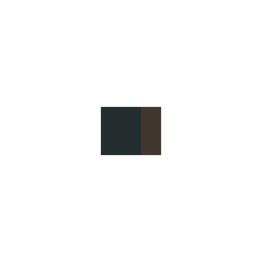 Farba gwasz Linel - Lefranc & Bourgeois - Cassel Earth 14 ml