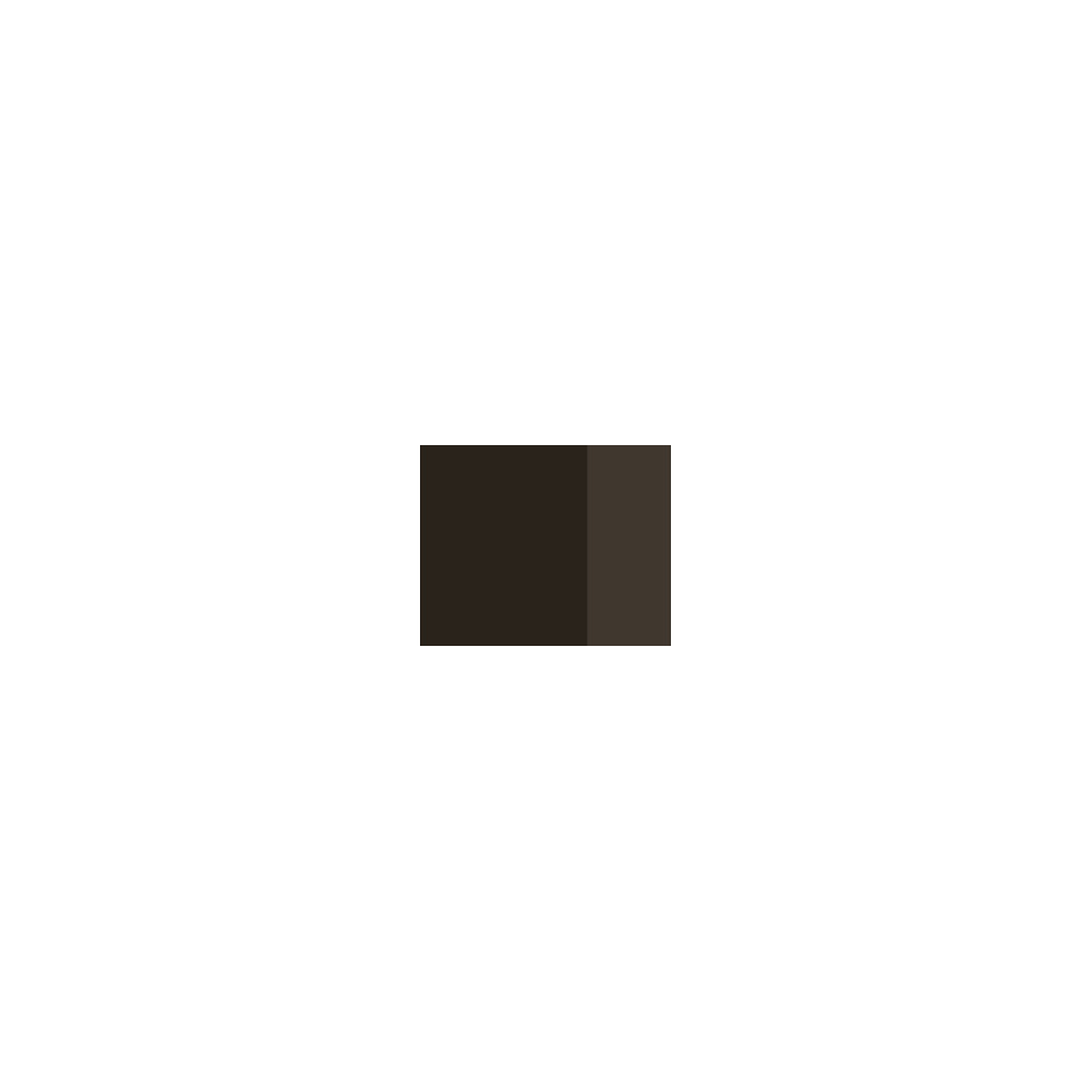 Farba gwasz Linel - Lefranc & Bourgeois - Raw Umber 14 ml