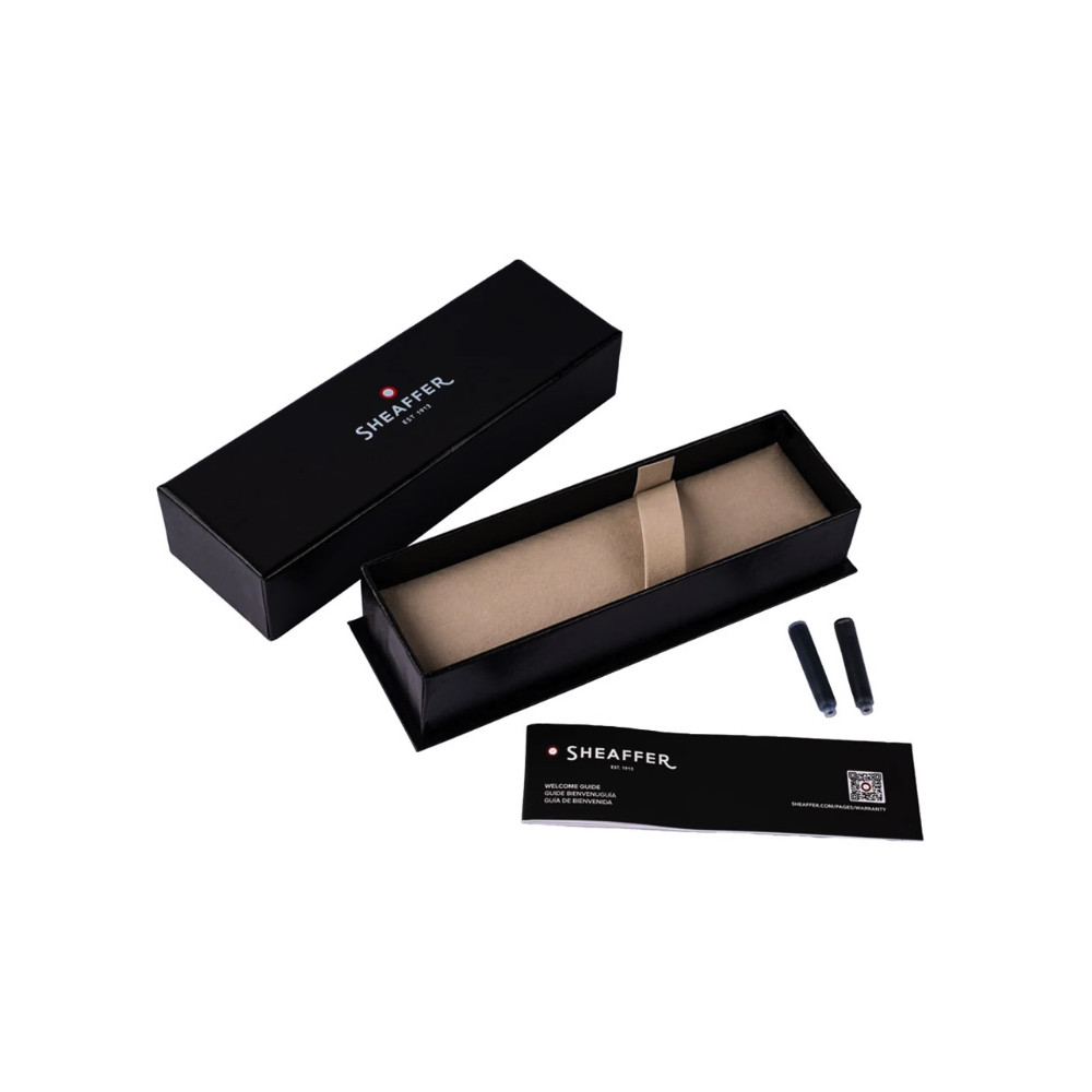 Fountain pen VFM - Sheaffer - Glossy Light Gray Gold Trim M