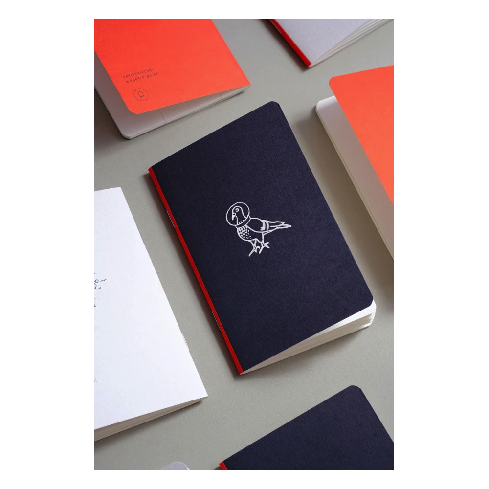 Notes gładki kieszonkowy Astro Gołębica - Papierniczeni - 30 ark.