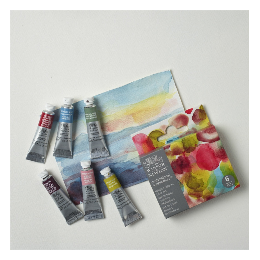 Zestaw akwareli Professional Mindful - Winsor & Newton - 6 x 5 ml