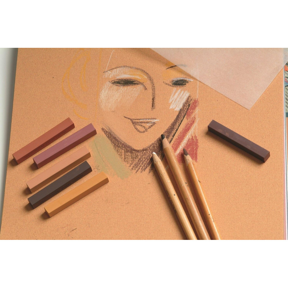 Papier do pasteli suchych Ingres 30 x 40 cm - Clairefontaine - 130 g 25 ark.