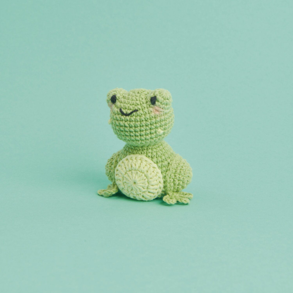 Set of Mini Easy Ricorumi DK cotton yarn - Rico Design - Frog