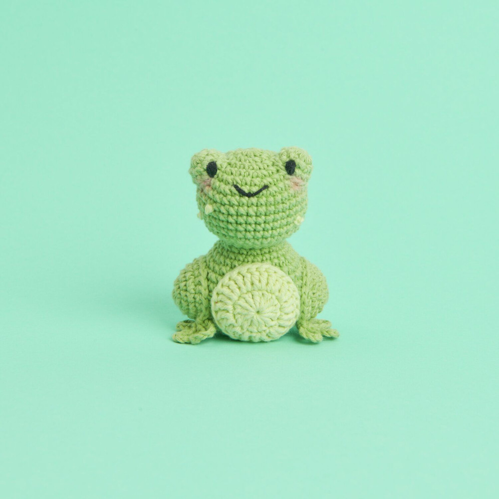 Set of Mini Easy Ricorumi DK cotton yarn - Rico Design - Frog