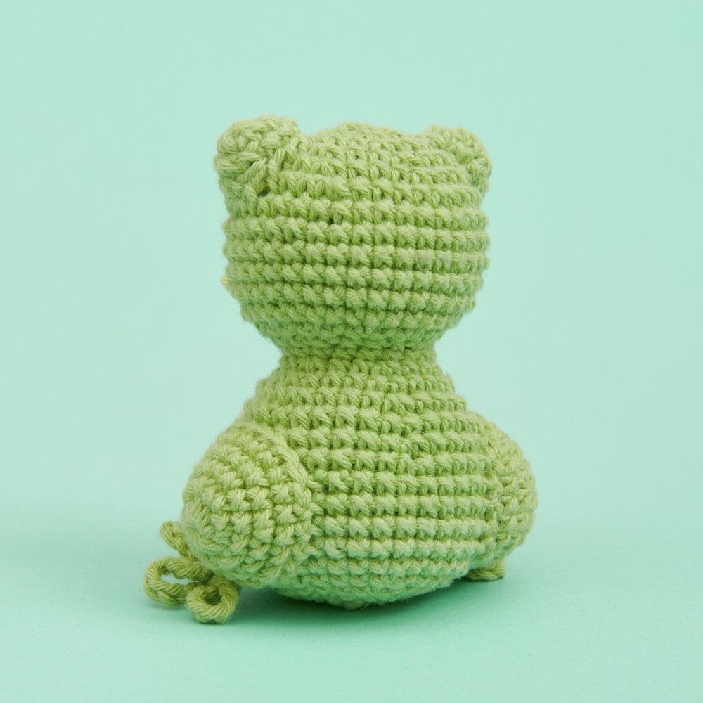 Set of Mini Easy Ricorumi DK cotton yarn - Rico Design - Frog