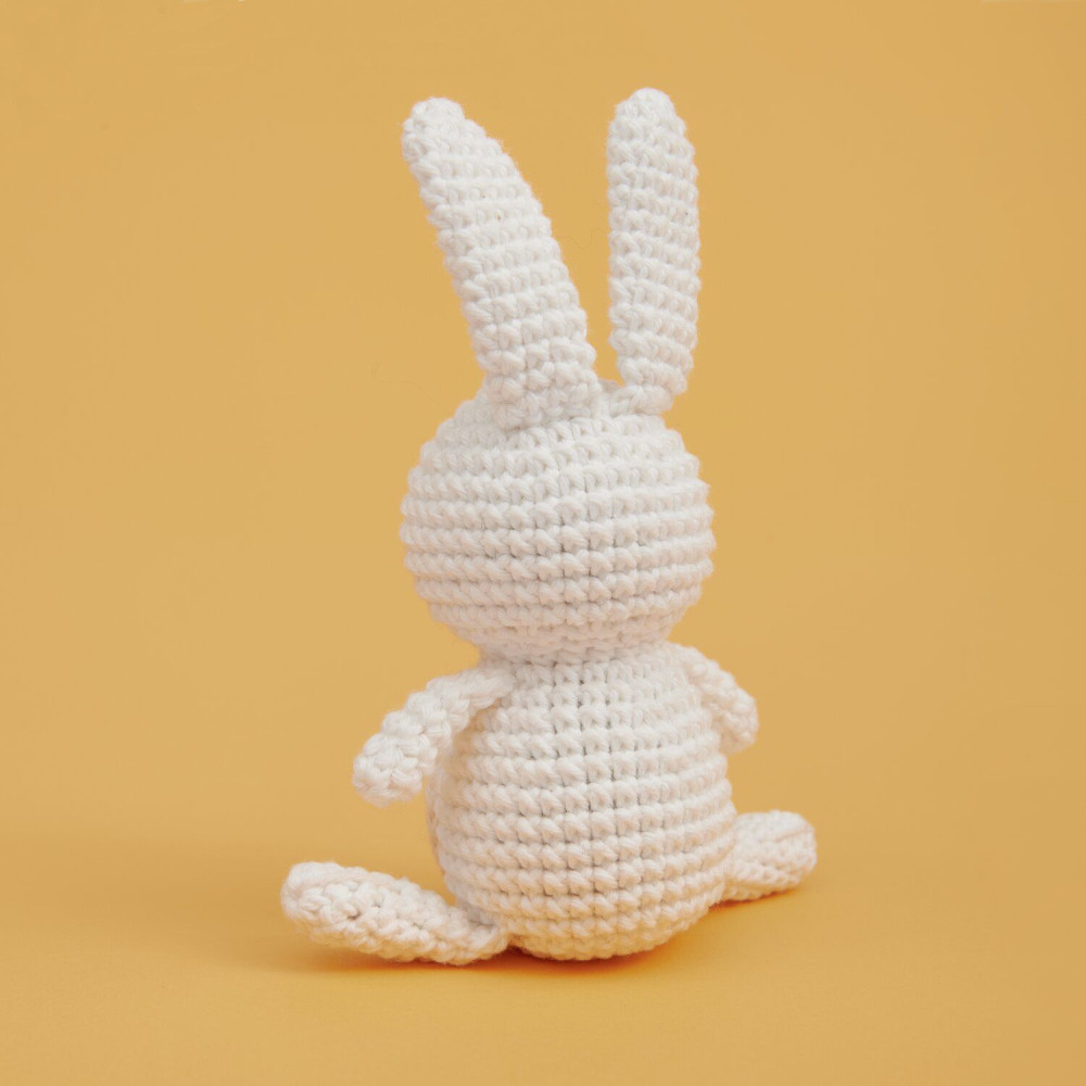 Set of Mini Easy Ricorumi DK cotton yarn - Rico Design - Bunny