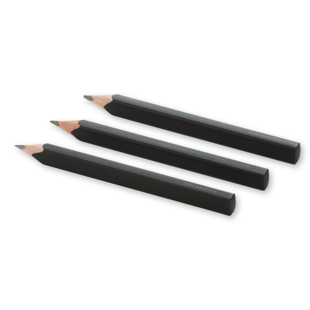 Zestaw ołówków z drewna cedrowego - Moleskine - 2B, HB, 3 szt.