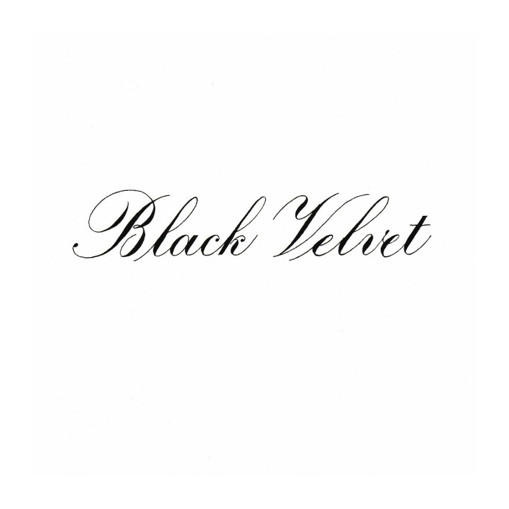 India Ink - Speedball - Black Velvet 29 ml
