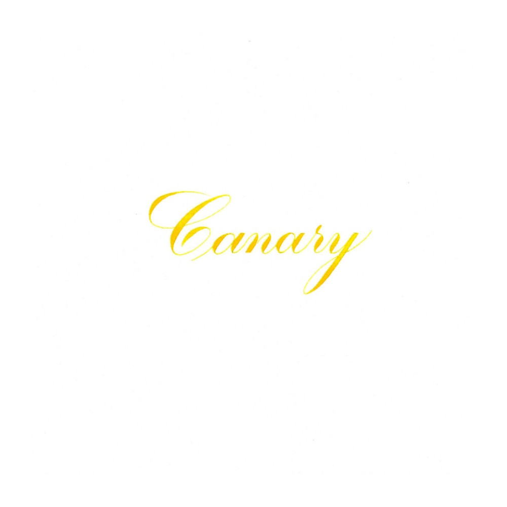 India Ink - Speedball - Canary 29 ml