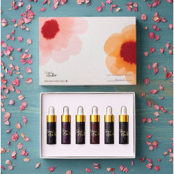 Set of Special Edition Mini Inks - Tom’s Studio - Sakura 6 x 5 ml