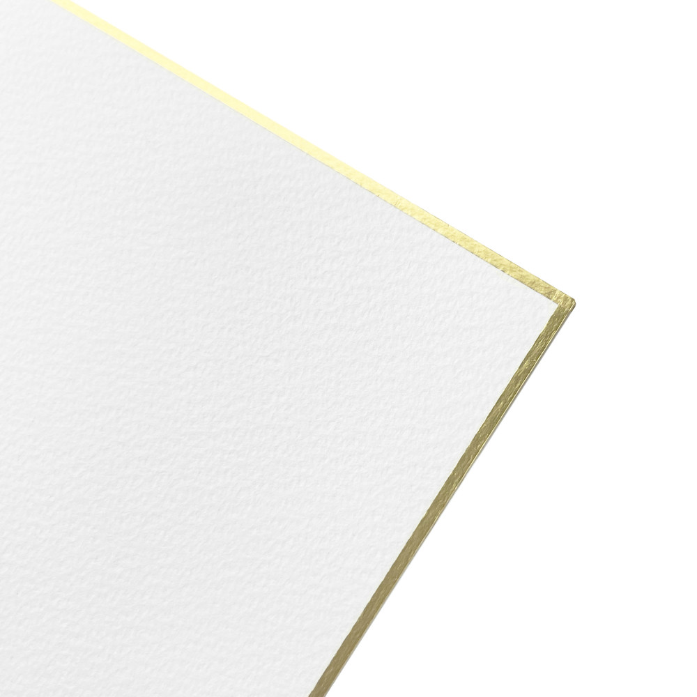 Shikishi White Ibis watercolor cardboard 24,2 x 27,2 cm - Holbein - cold pressed 300 g