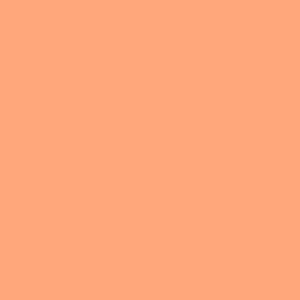 Marker akrylowy - Liquitex - Coral 2 mm