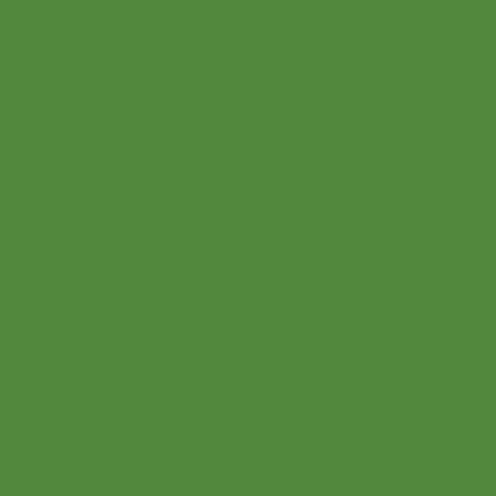 Acrylic Paint Marker – Liquitex – Dark Olive 2 mm