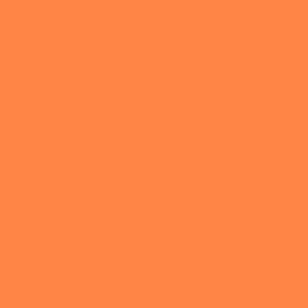 Acrylic Paint Marker – Liquitex – Light Orange 2 mm