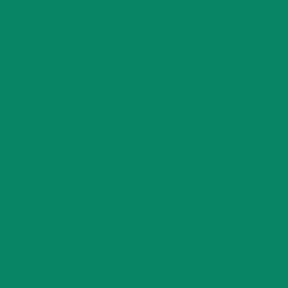 Acrylic Paint Marker – Liquitex – Metallic Aqua 2 mm