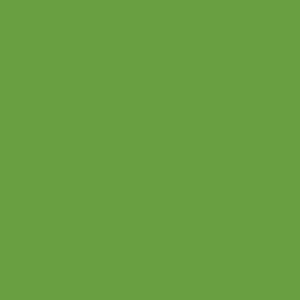 Acrylic Paint Marker – Liquitex – Metallic Light Green 2 mm