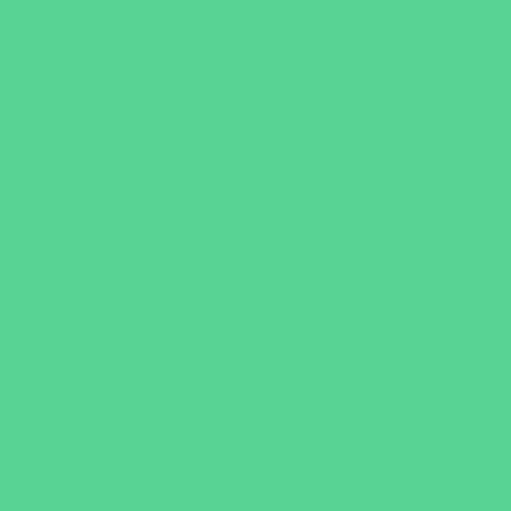 Acrylic Paint Marker – Liquitex – Mint 2 mm
