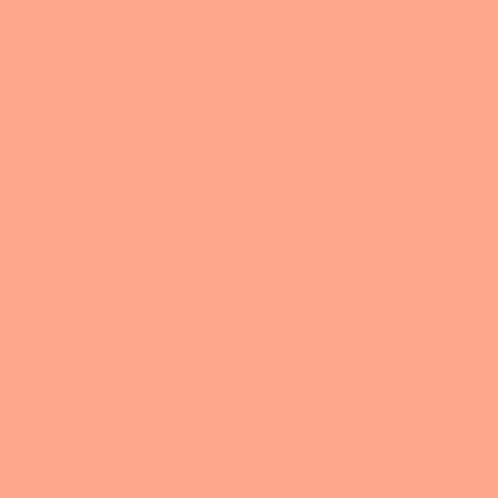 Acrylic Paint Marker – Liquitex – Peach 2 mm