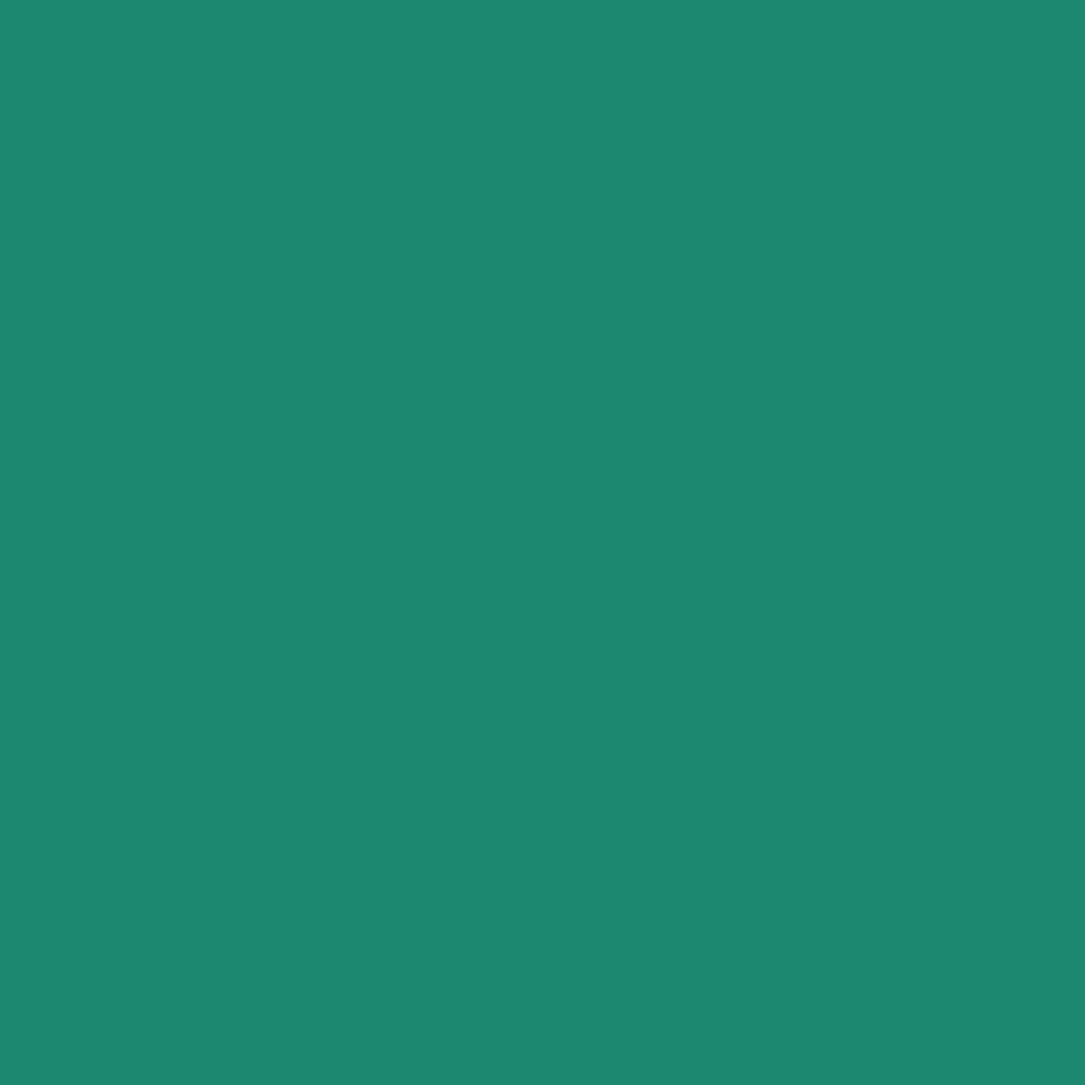 Acrylic Paint Marker – Liquitex – Teal 2 mm