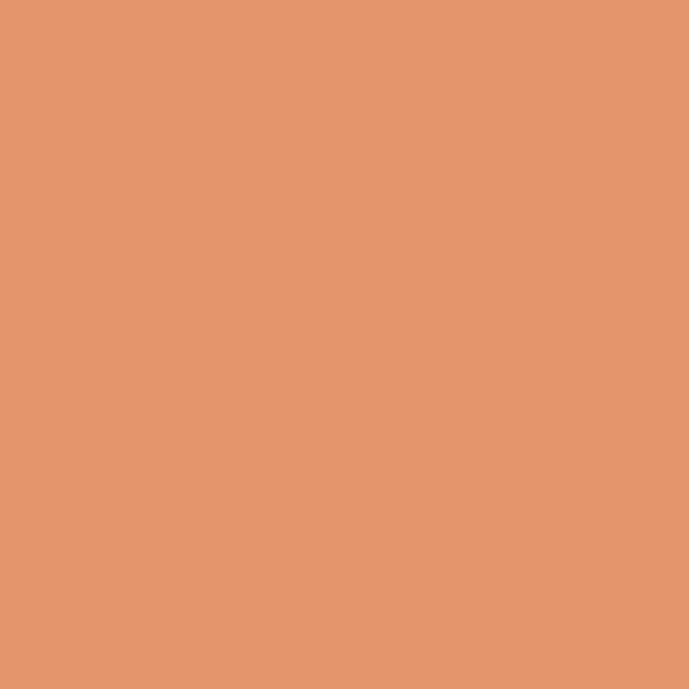 Acrylic Paint Marker – Liquitex – Terracotta 2 mm