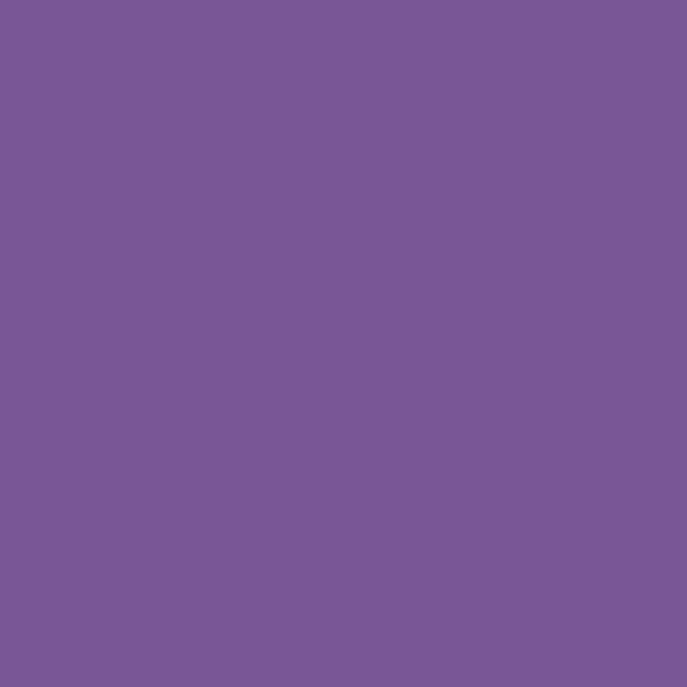 Acrylic Paint Marker – Liquitex – Purple 8 mm