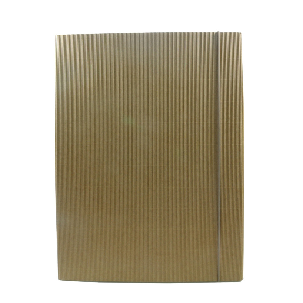 Cardboard Eco folder with rubber closure A4 - Leniar