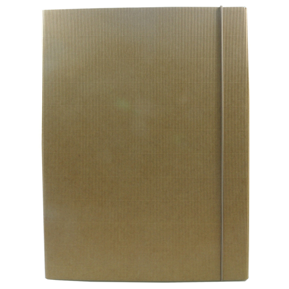 Cardboard Eco folder with rubber closure A3 - Leniar