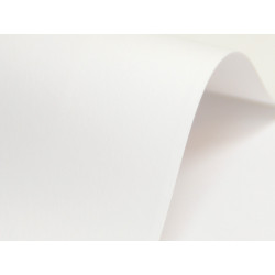 Papier Nettuno 215g - Bianco Artico, biały, A4, 20 ark.