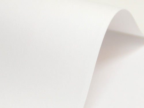Papier Nettuno 215g - Bianco Artico biały A4