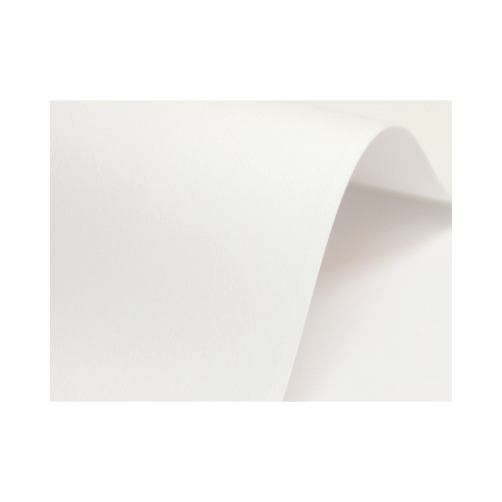 Papier Nettuno 215g - Bianco Artico, biały, A4, 20 ark.