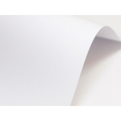 Papier Arcoprint 120g - Extra White, biały, A4, 20 ark.