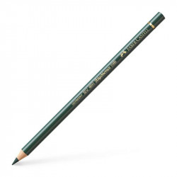 Polychromos Artists' Colour Pencil - Faber-Castell - 165, Juniper Green