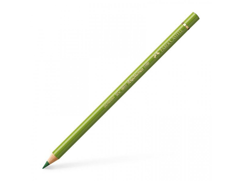 Polychromos Artists' Colour Pencil - Faber-Castell - 168, Earth Green Yellowish