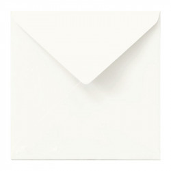 Bio Top envelopes 14x14 90...