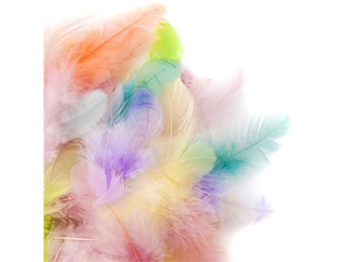 Decorative feathers - DpCraft - 5 g