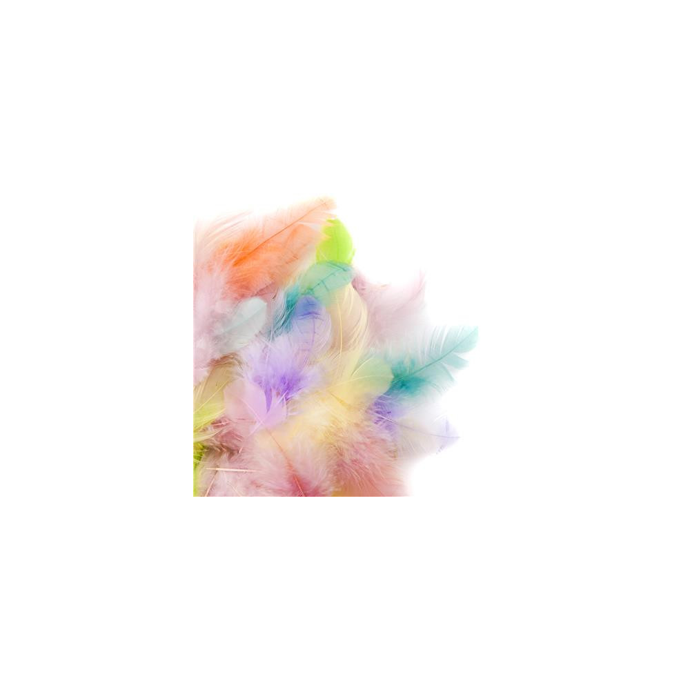 Decorative feathers - DpCraft - 5 g