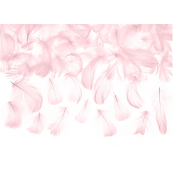 Decorative feathers - light pink, 3 g