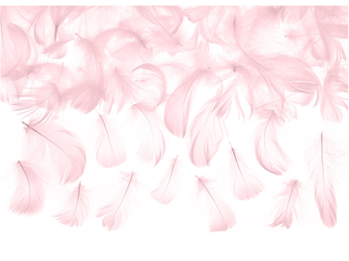 Decorative feathers - light pink, 3 g