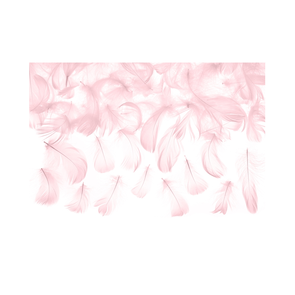 Decorative feathers - light pink, 3 g