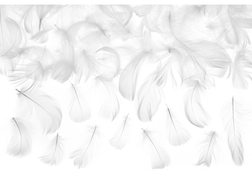 Decorative feathers - white, 3 g