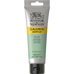 Farba akrylowa Galeria - Winsor & Newton - Pale Olive, 120 ml