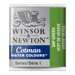 Farba akwarelowa Cotman - Winsor & Newton - Sap Green, półkostka