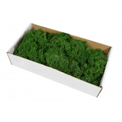 Reindeer Moss - dark green, 300 g