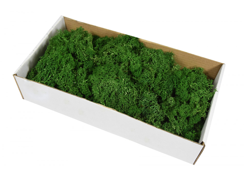 Reindeer Moss - dark green, 300 g