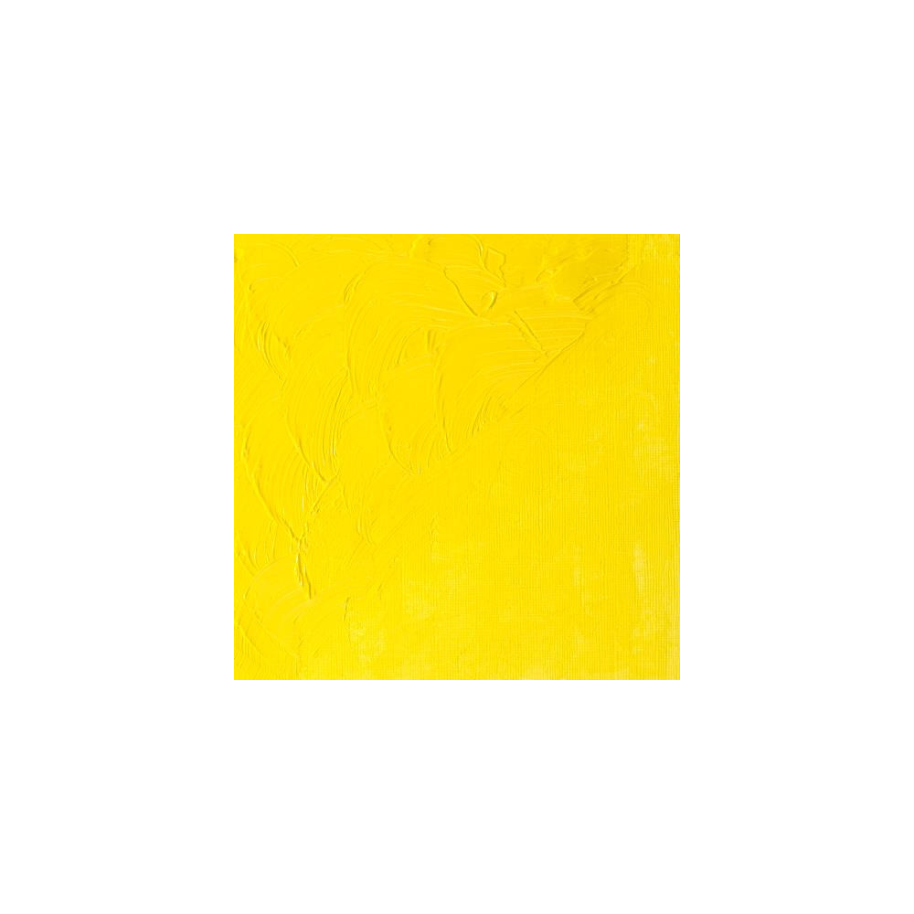 Oil paint Winton Oil Colour - Winsor & Newton - cadmium lemon hue, 200 ml