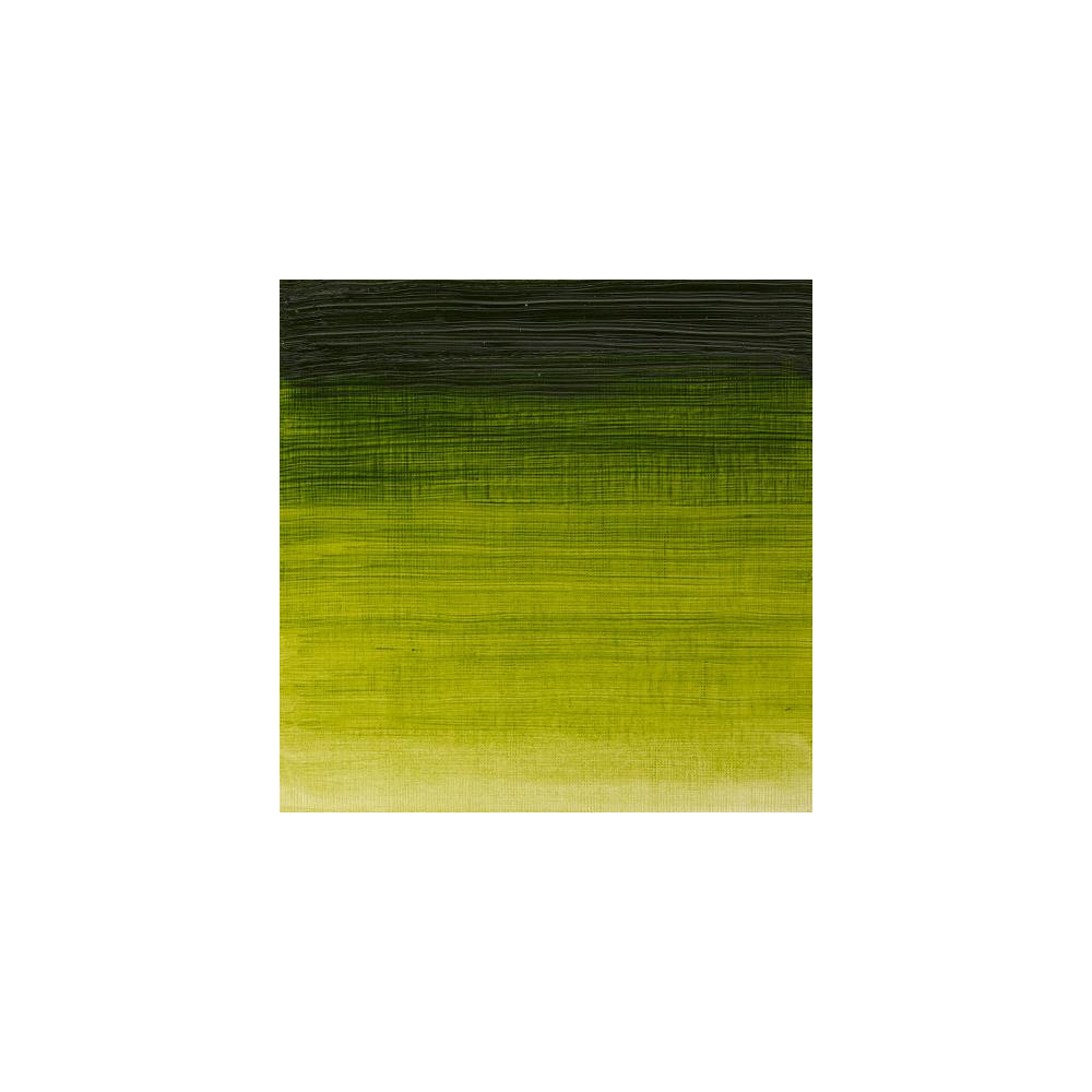 Oil paint Winton Oil Colour - Winsor & Newton - sap green, 200 ml