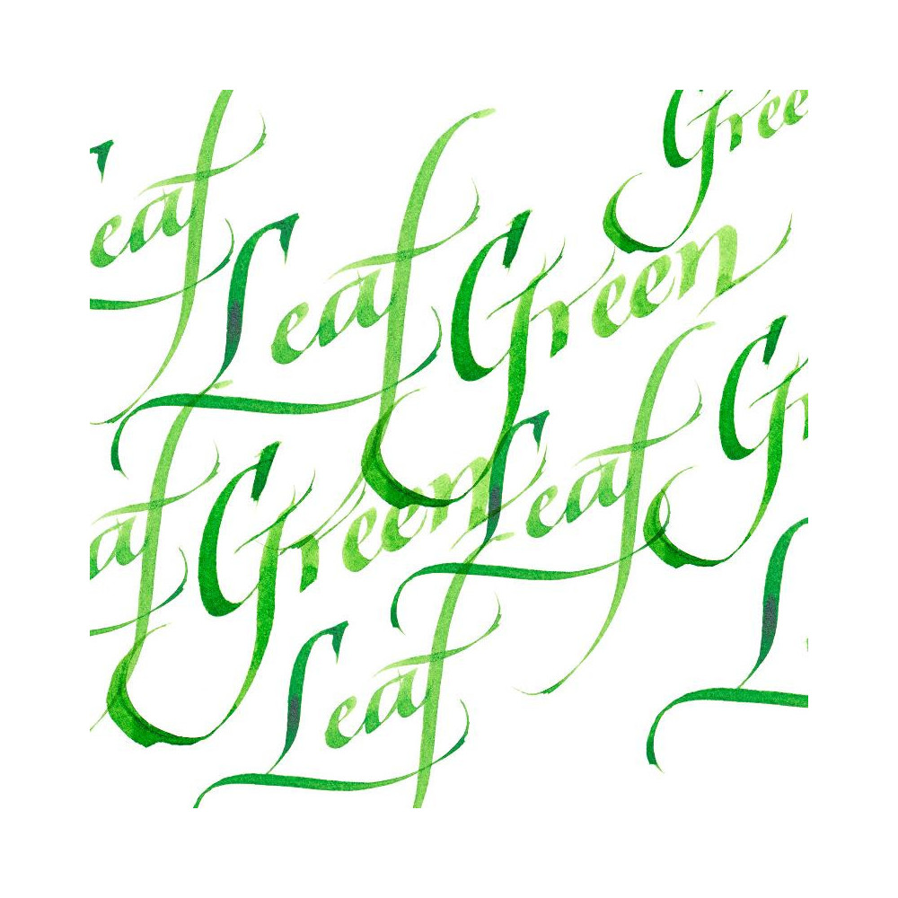 Calligraphy Inks - Leaf Green - Winsor & Newton