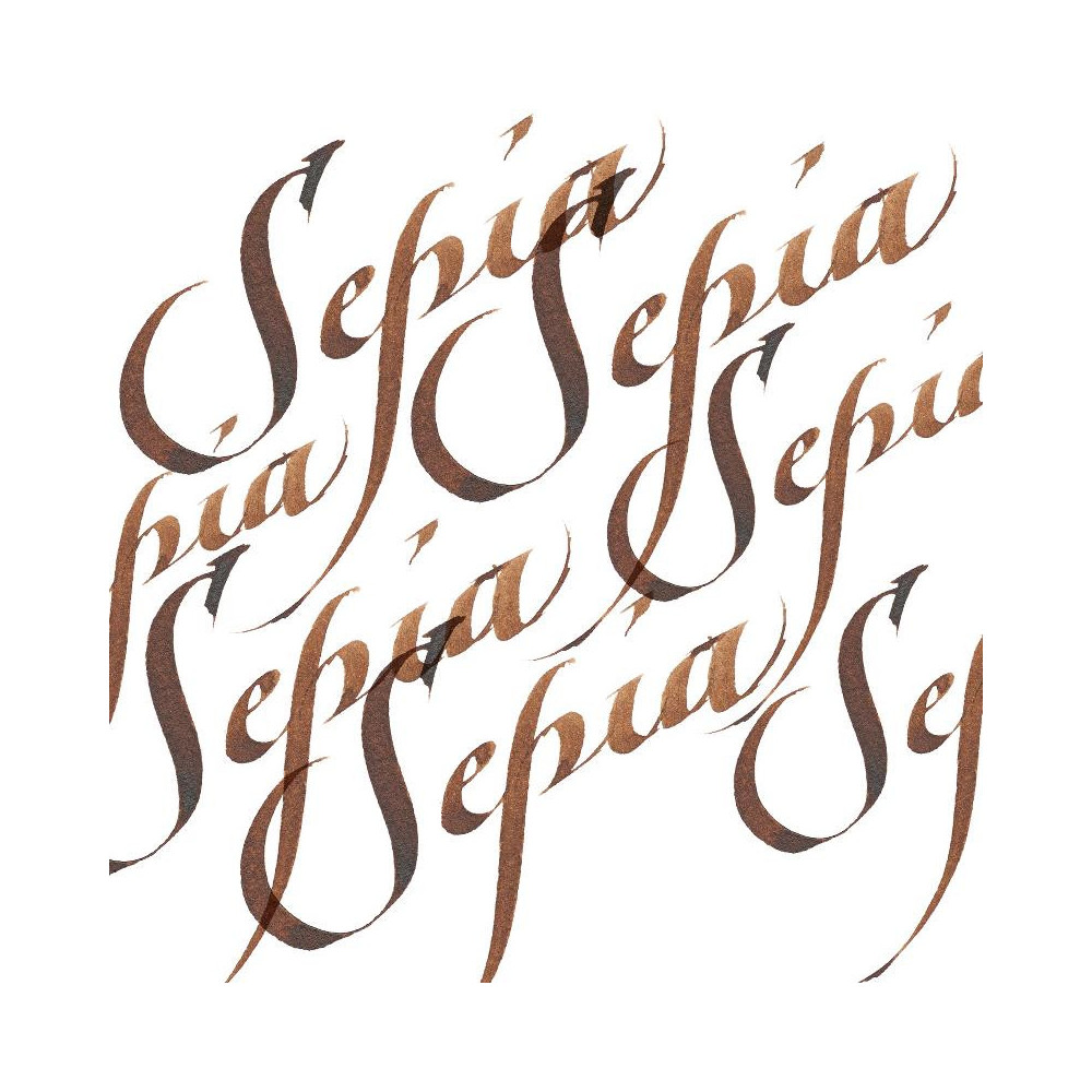 Calligraphy Inks - Sepia - Winsor & Newton