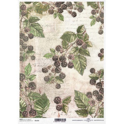 Decoupage paper A4 - ITD Collection - rice, R1256